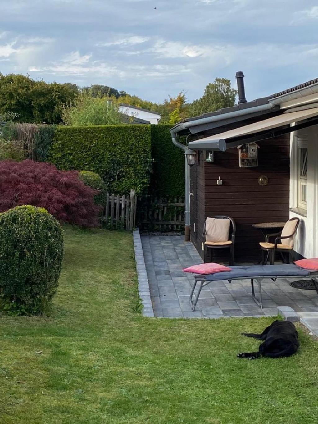 Ferienhaus Glueckspilz Beim Hennesee Мешеде Екстериор снимка